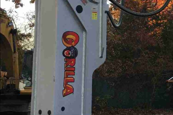 GXS155 in fall closeup