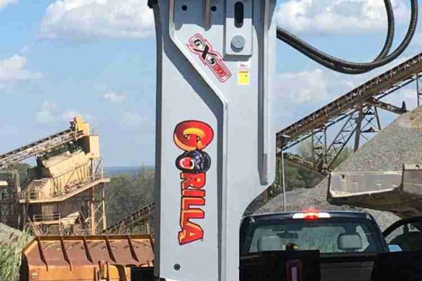 Great closeup with great background